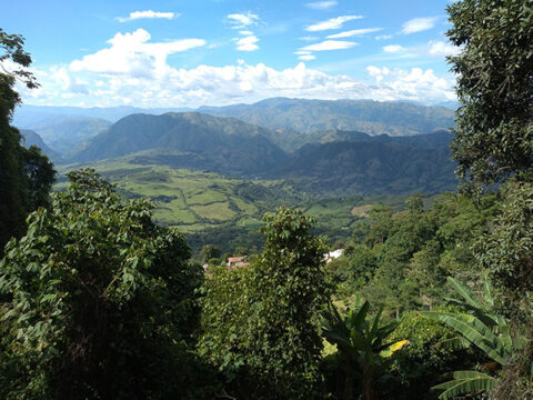 Lush forests and mountains South west Antioquia