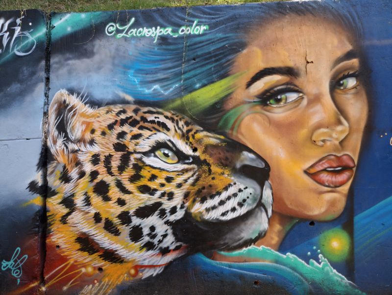 The Street Art of the Comuna 13 district in Medellin