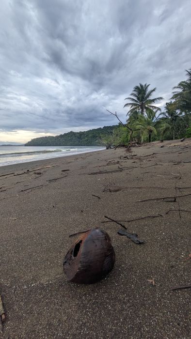 Walking along the Beach Colombian Choco Region