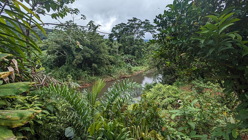 Tropical Rainforest Bahia Solano